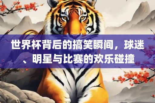 世界杯背后的搞笑瞬间，球迷、明星与比赛的欢乐碰撞眉山市正发家政服务有限公司