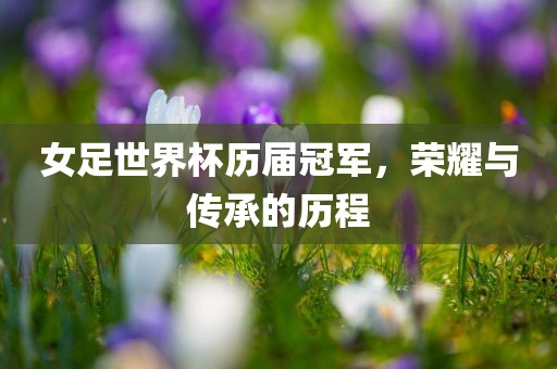 女足世界杯历届冠军，荣耀与传承的历程