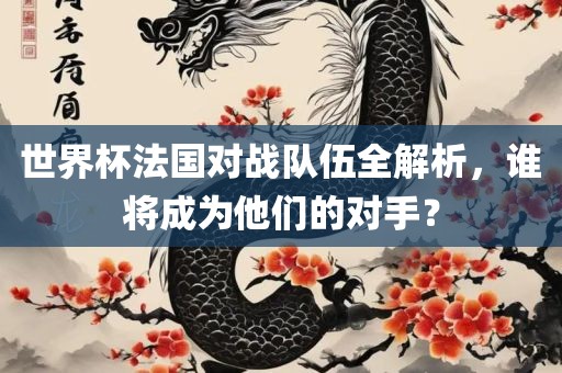 世界杯法国对战队伍全解析，谁将成为他们的对手？