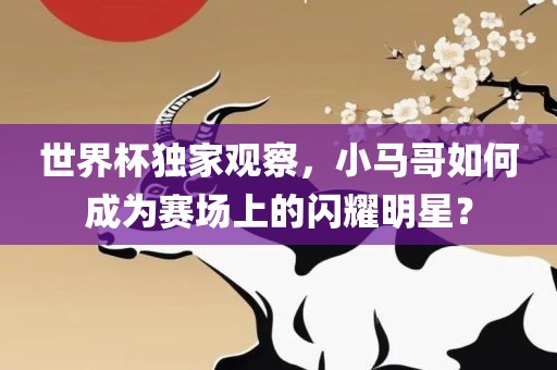 世界杯独家观察，小马哥如何成为赛场上的闪耀明星？