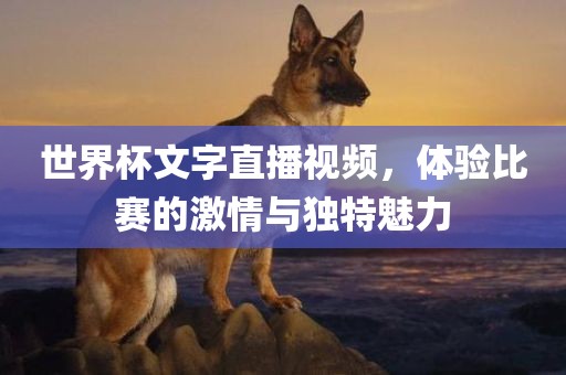 世界杯文字直播视频，体验比赛的激情与独特魅力
