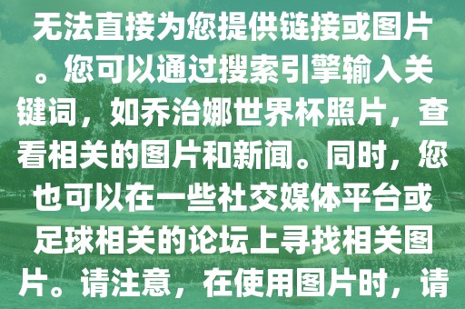 关于乔治娜的世界杯照片，我无法直接为您提供链接或图片。您可以通过搜索引擎输入关键词，如乔治娜世界杯照片，查看相关的图片和新闻。同时，您也可以在一些社交媒体平台或足球相关的论坛上寻找相关图片。请注意，在使用图片时，请遵守版权法规。