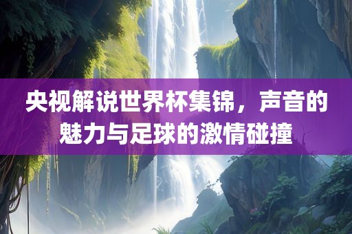 央视解说世界杯集锦，声音的魅力与足球的激情碰撞