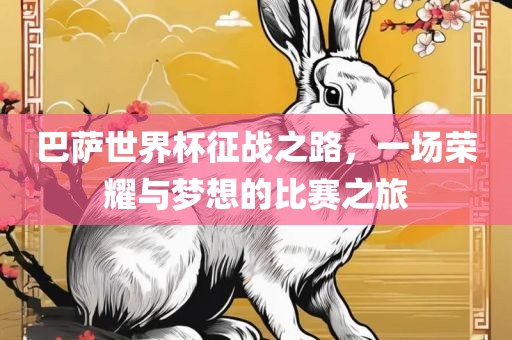 巴萨世界杯征战之路，一场荣耀与梦想的比赛之旅