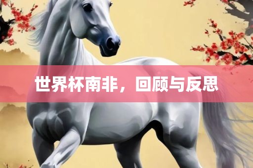 世界杯南非，回顾与眉山市正发家政服务有限公司反思