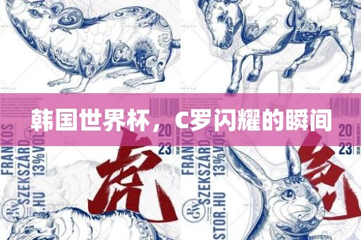 韩国世界杯，C罗闪耀的瞬间