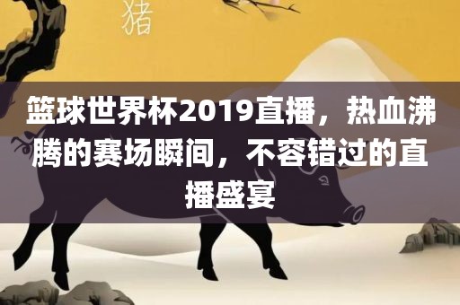 篮球世界杯2019直播，热血沸腾的赛场瞬间，不容错过的直播盛宴