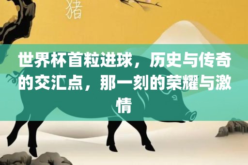 世界杯首粒进球，历史与传奇的交汇点，那一刻的荣耀与激情