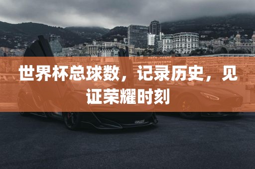 世界杯总球数，记录历史，见证荣耀时刻