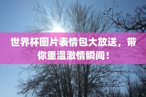 世界杯图片表情包大放送，带你重温激情瞬间！