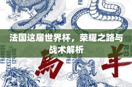 法国这届世界杯，荣耀之路与战术解析