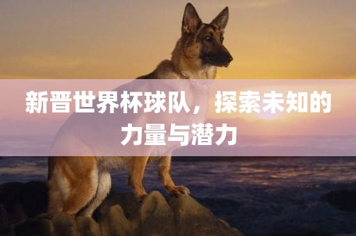 新晋世界杯球队，探索未知的力量与潜力