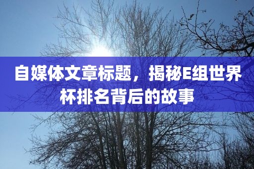 自媒体文章标题，揭秘E组世界杯排名背后的故事