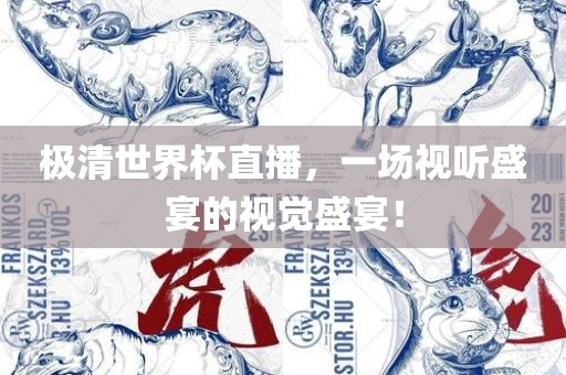 极清世界杯直播，一场视听盛宴的视觉盛宴！