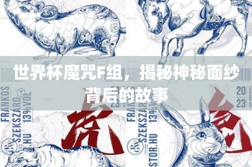 世界杯魔咒F组，揭秘神秘面纱背后的故事