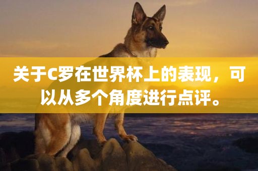 关于C罗在世界杯上的表现，可以从多个角度进行点评。眉山市正发家政服务有限公司