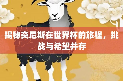 揭秘突尼斯在世界杯的旅程，挑战与希望并存眉山市正发家政服务有限公司
