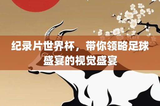 纪录片世界杯，带你领略足球盛宴的视觉盛宴