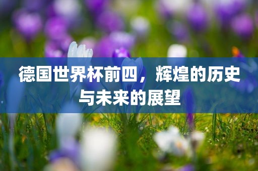 德国世界杯前四，辉煌的历史与未来的展望