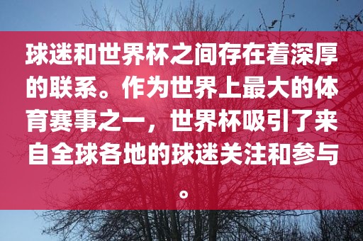 球迷和世界杯之间存在着深厚的联系。作为世界上最大的体育赛事之一，世界杯吸引了来自全球各地的球迷关注和参与。