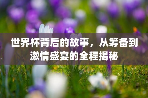 世界杯背后的故事，从筹备到激情盛宴的全程揭秘