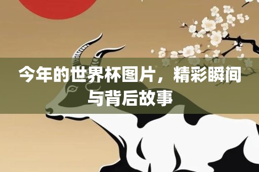 今年的世界杯图片，精彩瞬间与背后故事