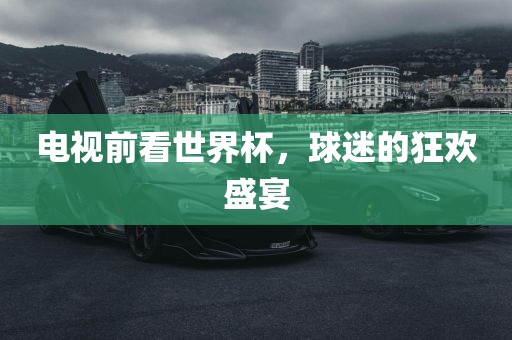 电视前看世界杯，球迷的狂欢盛宴眉山市正发家政服务有限公司