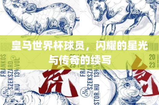 皇马世界杯球员，闪耀的星光与传奇的续写