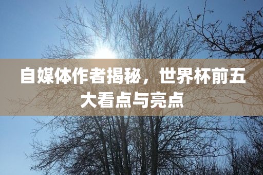 自媒体作者揭秘，世界杯前五大看点与亮点