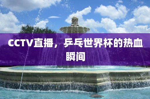 CCTV直播，乒乓世界杯的热血瞬间