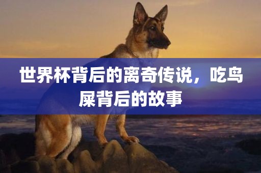 世界杯背后的离奇传说，吃鸟屎背后的故事