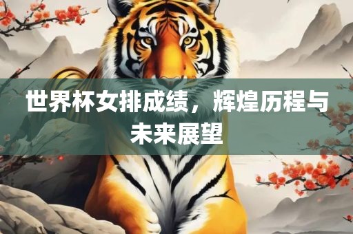 世界杯女排成绩，辉煌历程与未来展望