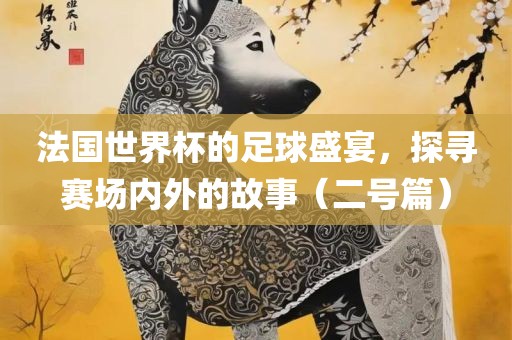 法国世界杯的足球盛宴，探寻赛场内外的故事（二号篇）