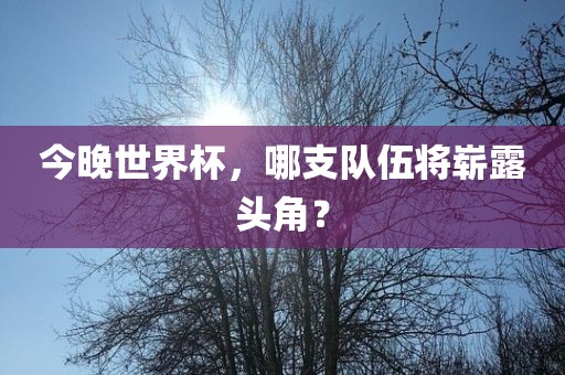 今晚世界杯，哪支队伍将崭露头角？