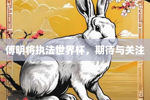 傅明将执法世界杯，期待与关注