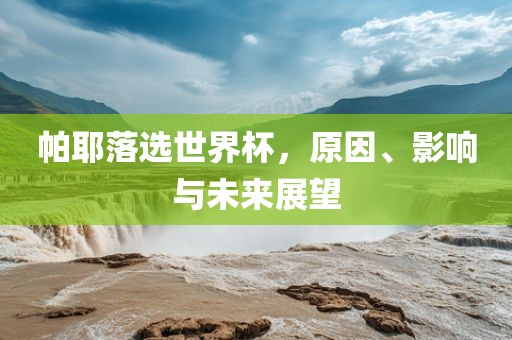 帕耶落选世界杯，原因、影响与未来展望