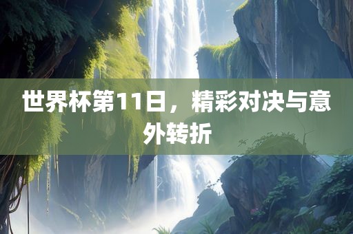 世界杯第11日，精彩对决与意外转折