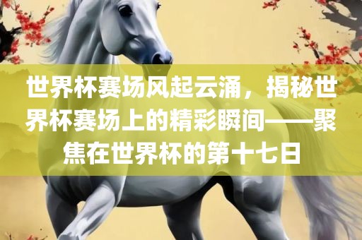 世界杯赛场风起云涌，揭秘世界杯赛场上的精彩瞬间——聚焦在世界杯的第十七日