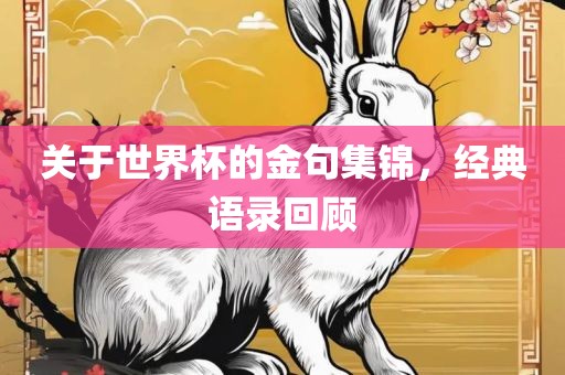 关于世界杯的金句集锦，经典语录回顾