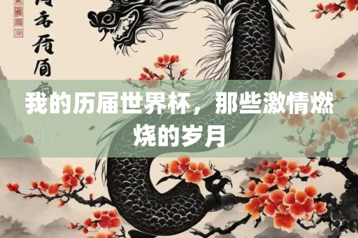 我的历届世界杯，那些激情燃烧的岁月