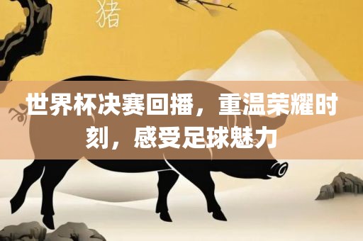 世界杯决赛回播，重温荣耀时刻，感受足球魅力