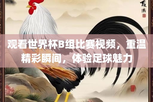 观看世界杯B组比赛视频，重温精彩瞬间，体验足球魅力
