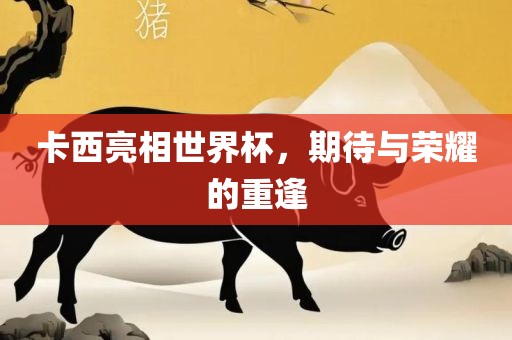 卡西亮相世界杯，期待与荣耀的重逢