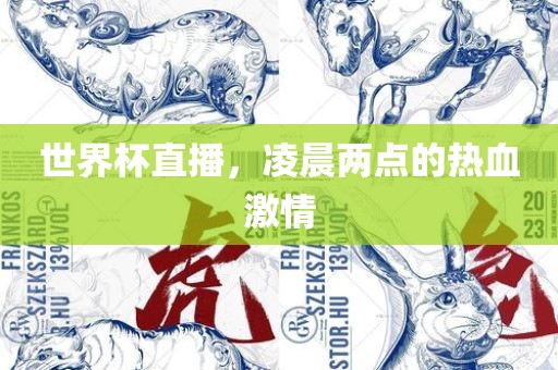 世界杯直播，凌晨两点的热血激情