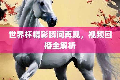 世界杯精彩瞬间再现，视频回播全解析
