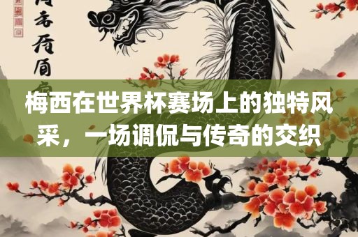 梅西在世界杯赛场上的独特风采，一场调侃与传奇的交织
