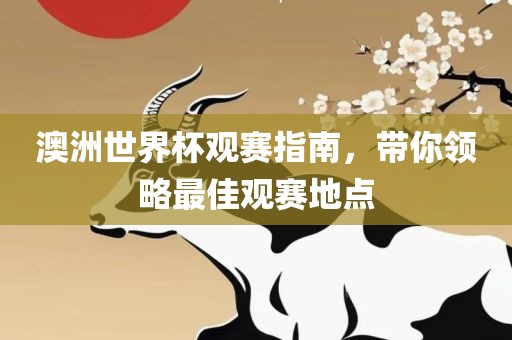 澳洲世界杯观赛指南，带你领略最佳观赛地点