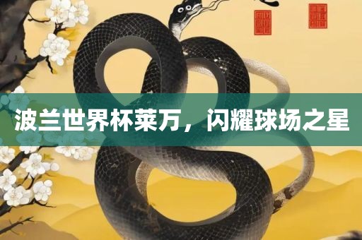 波兰世界杯莱万，闪耀球场之星