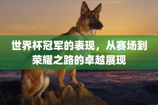 世界杯冠军的表现，从赛场到荣耀之路的卓越展现