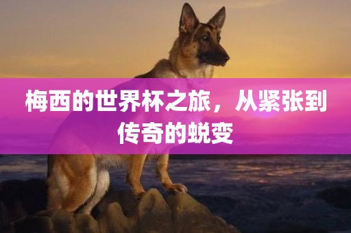 梅西的世界杯之旅，从紧张到传奇的蜕变